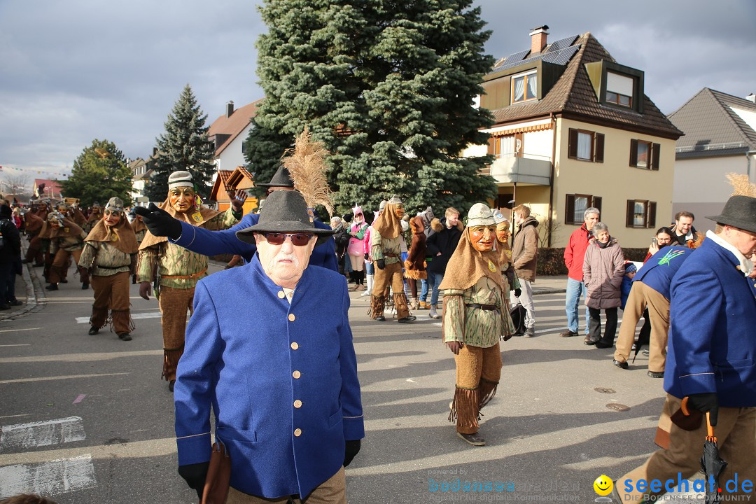 Fasnetsumzug - Fasching: Fischbach am Bodensee, 02.02.2018