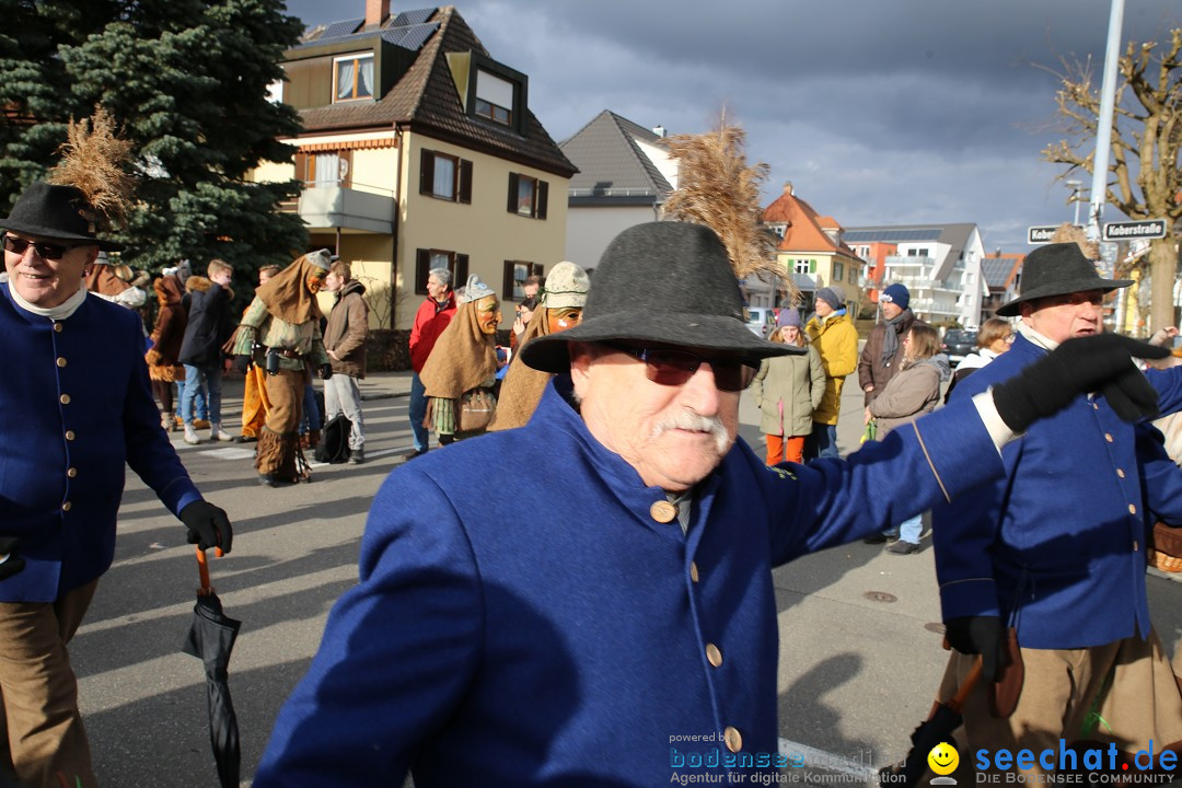 Fasnetsumzug - Fasching: Fischbach am Bodensee, 02.02.2018