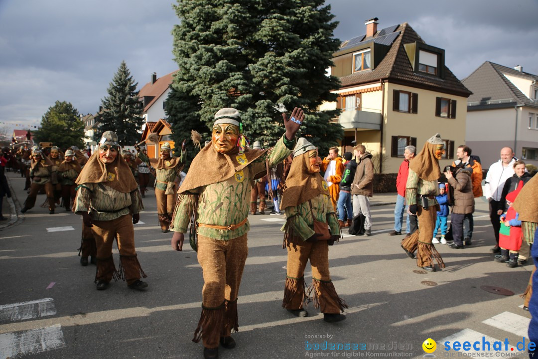 Fasnetsumzug - Fasching: Fischbach am Bodensee, 02.02.2018