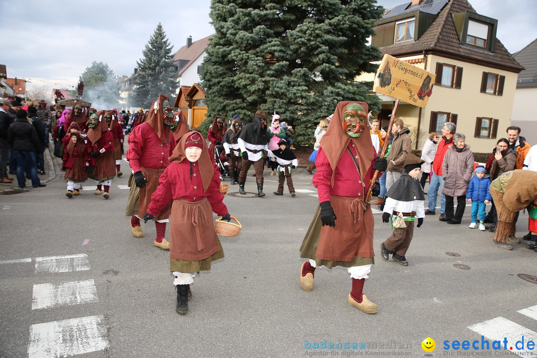 Fasnetsumzug - Fasching: Fischbach am Bodensee, 02.02.2018