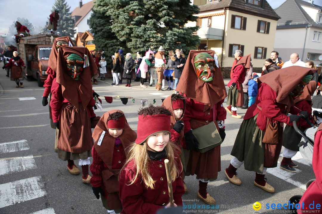 Fasnetsumzug - Fasching: Fischbach am Bodensee, 02.02.2018