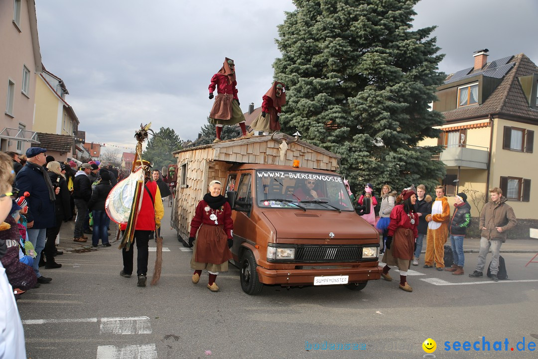 Fasnetsumzug - Fasching: Fischbach am Bodensee, 02.02.2018