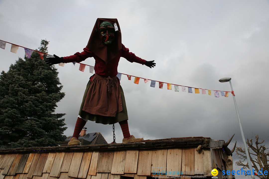 Fasnetsumzug - Fasching: Fischbach am Bodensee, 02.02.2018