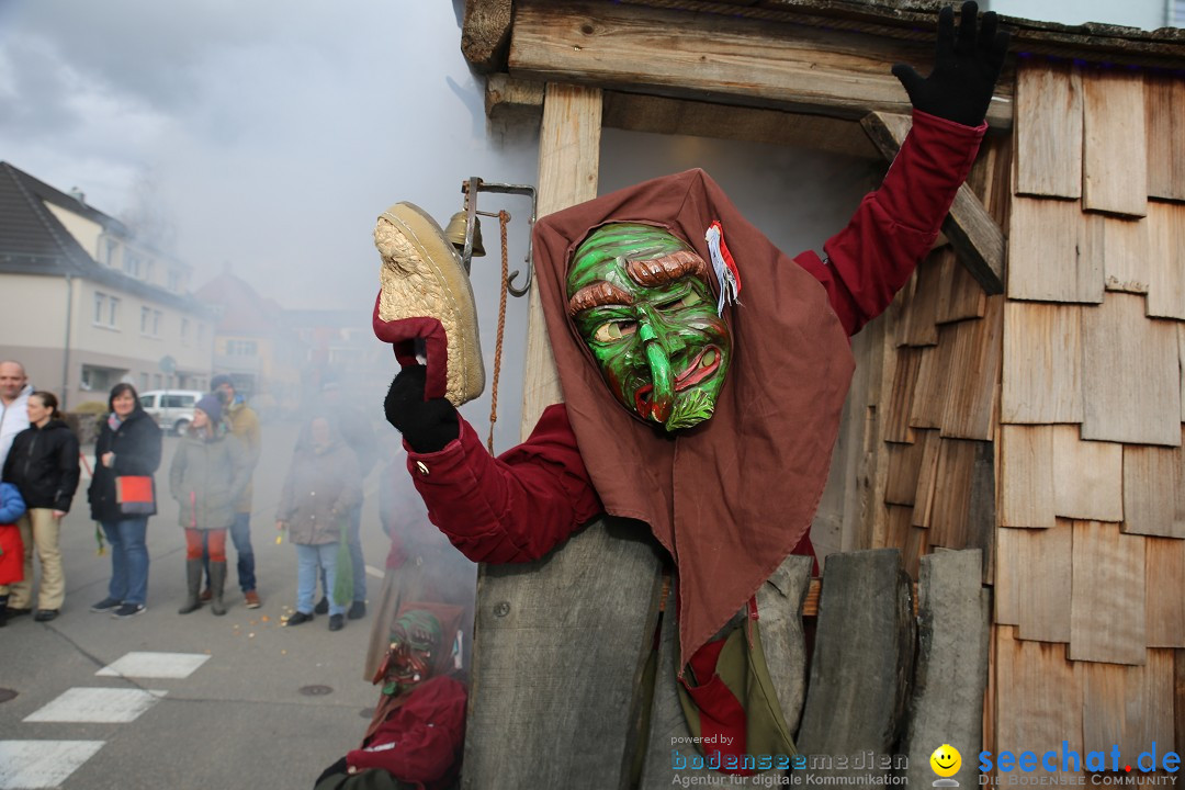 Fasnetsumzug - Fasching: Fischbach am Bodensee, 02.02.2018