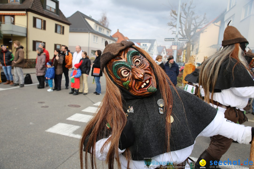 Fasnetsumzug - Fasching: Fischbach am Bodensee, 02.02.2018