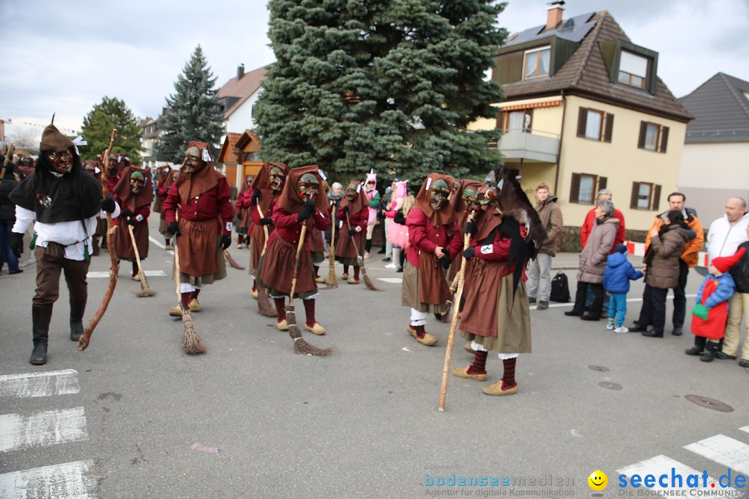 Fasnetsumzug - Fasching: Fischbach am Bodensee, 02.02.2018