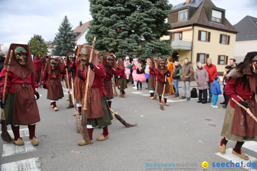 Fasnetsumzug - Fasching: Fischbach am Bodensee, 02.02.2018