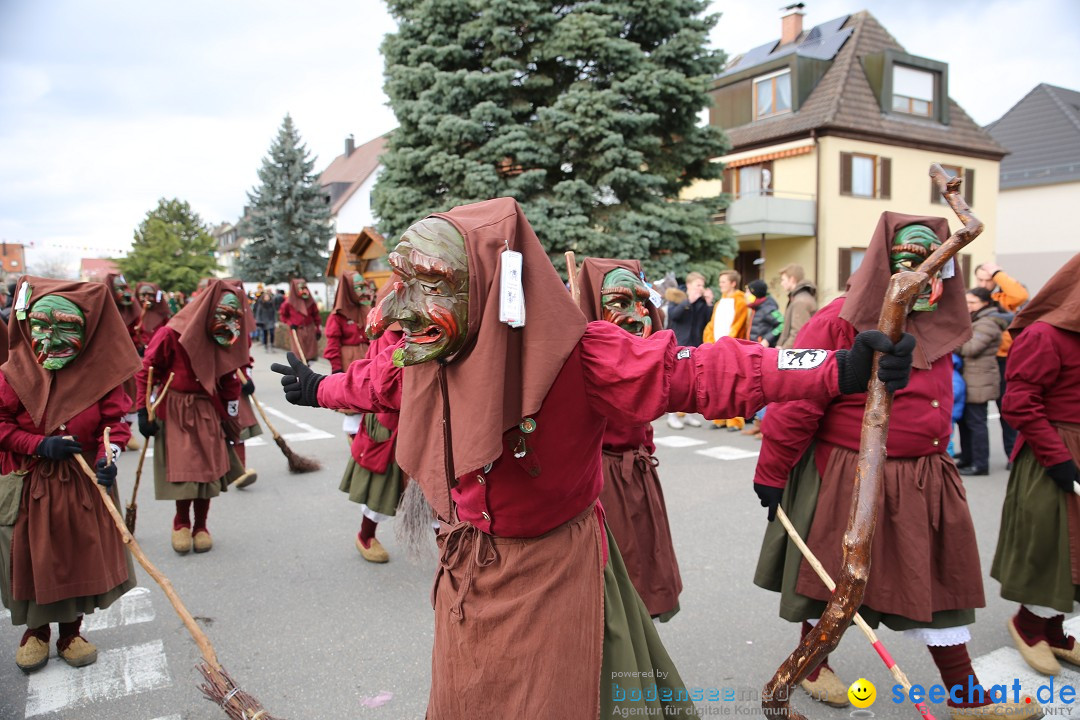 Fasnetsumzug - Fasching: Fischbach am Bodensee, 02.02.2018