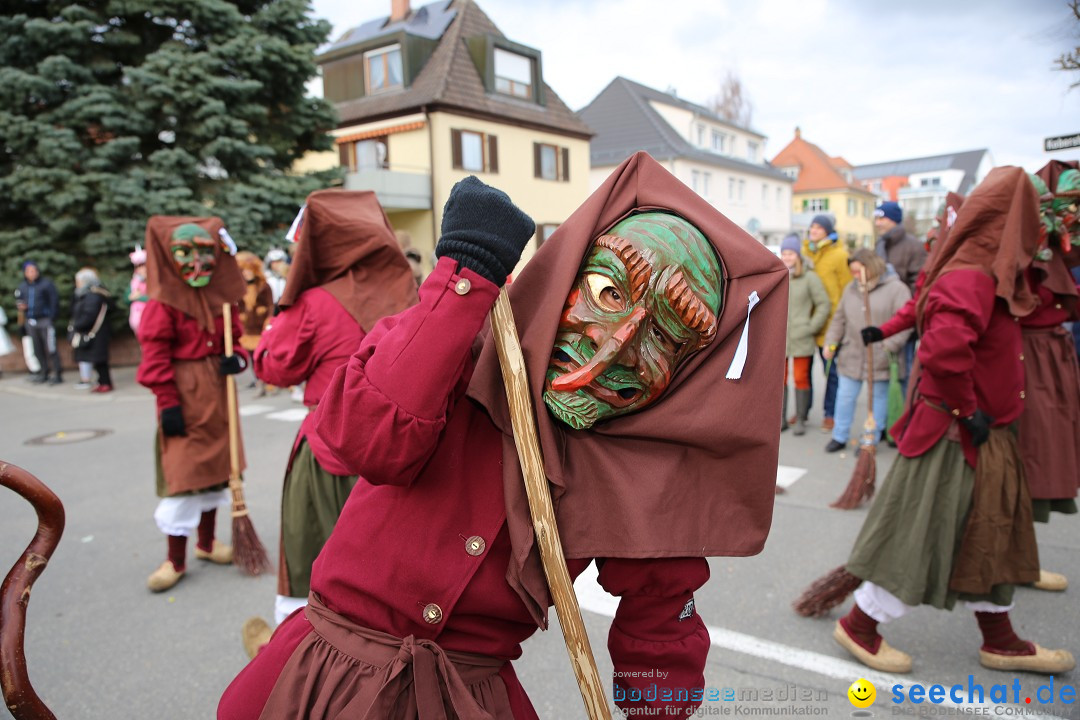 Fasnetsumzug - Fasching: Fischbach am Bodensee, 02.02.2018