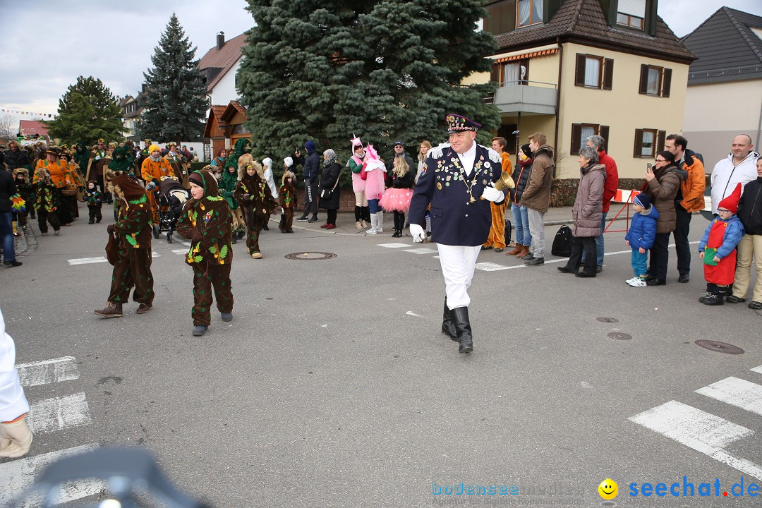 Fasnetsumzug - Fasching: Fischbach am Bodensee, 02.02.2018