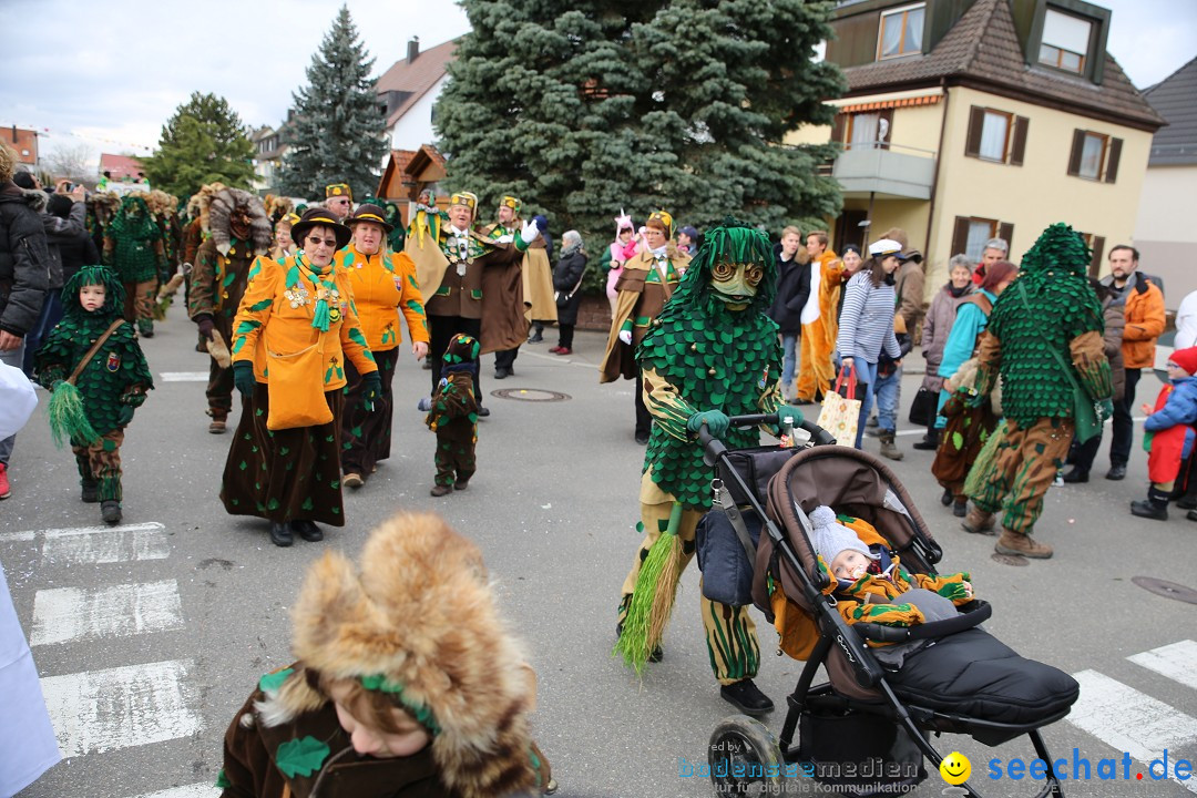 Fasnetsumzug - Fasching: Fischbach am Bodensee, 02.02.2018