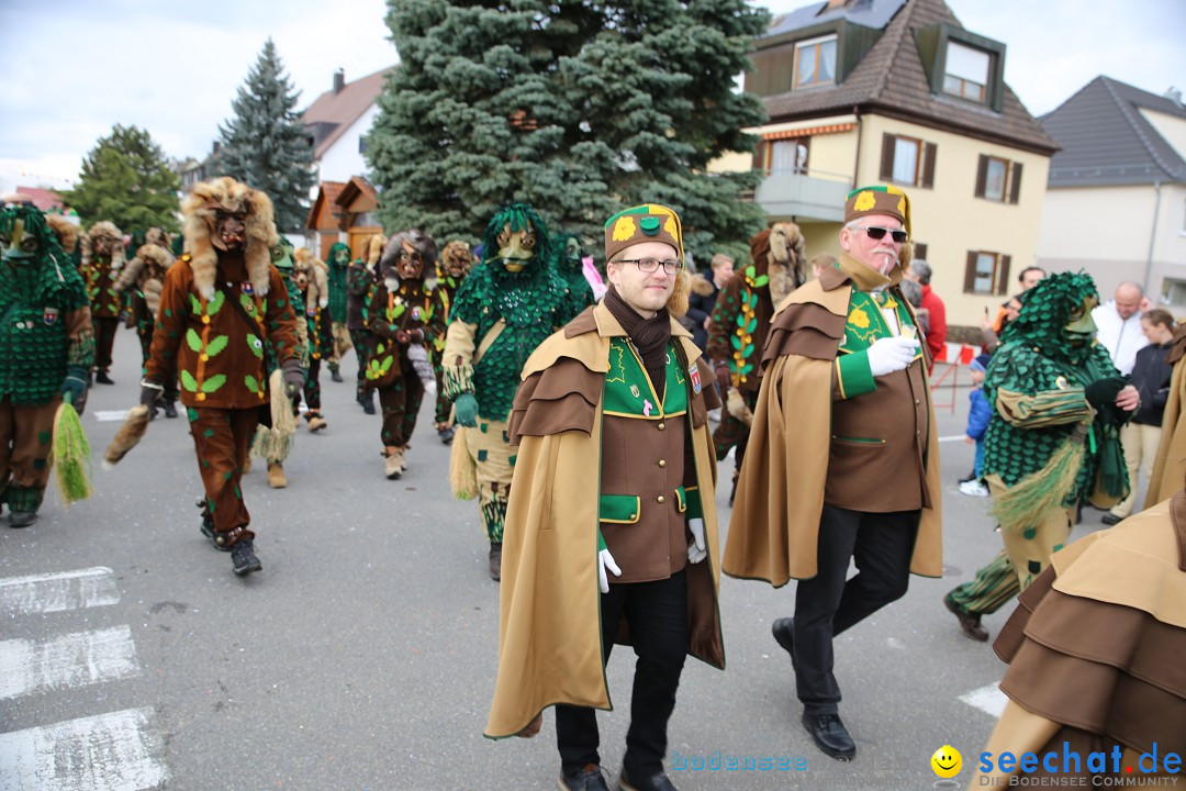 Fasnetsumzug - Fasching: Fischbach am Bodensee, 02.02.2018