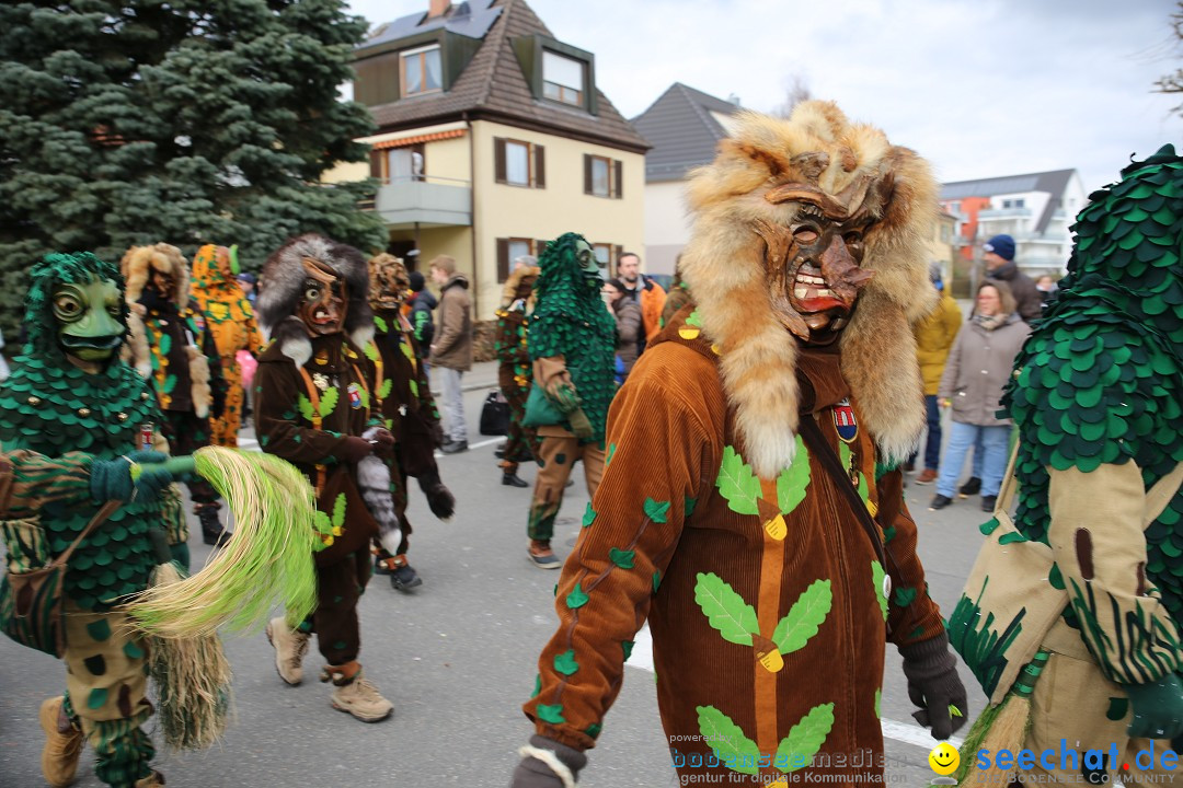 Fasnetsumzug - Fasching: Fischbach am Bodensee, 02.02.2018