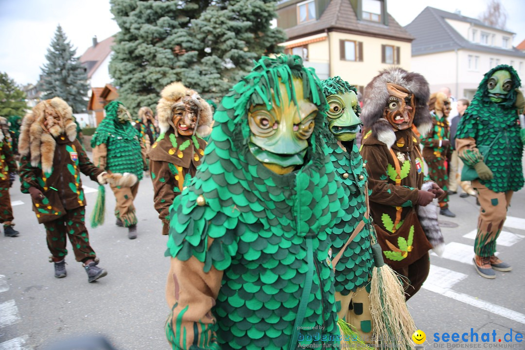 Fasnetsumzug - Fasching: Fischbach am Bodensee, 02.02.2018