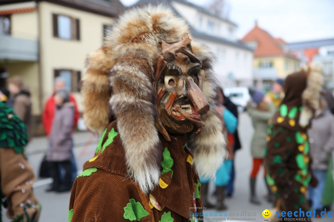 Fasnetsumzug - Fasching: Fischbach am Bodensee, 02.02.2018