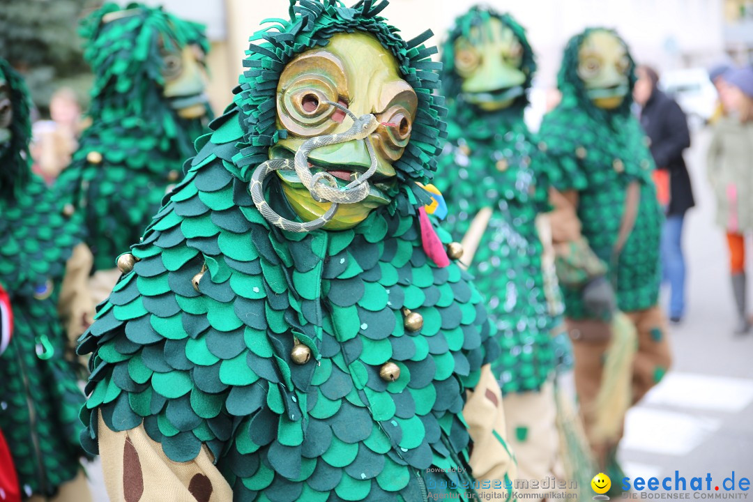 Fasnetsumzug - Fasching: Fischbach am Bodensee, 02.02.2018