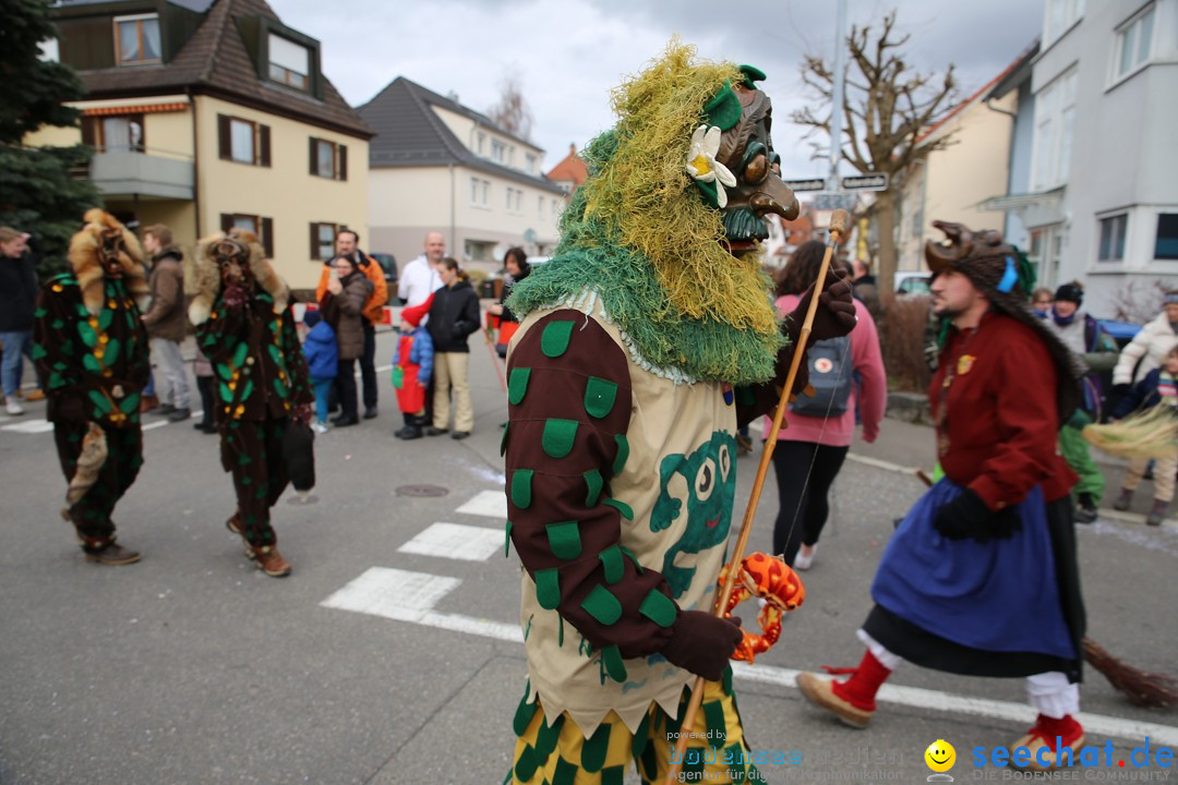 Fasnetsumzug - Fasching: Fischbach am Bodensee, 02.02.2018