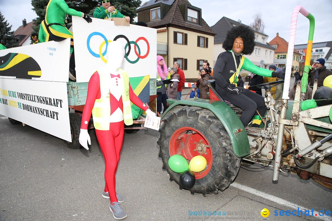 Fasnetsumzug - Fasching: Fischbach am Bodensee, 02.02.2018