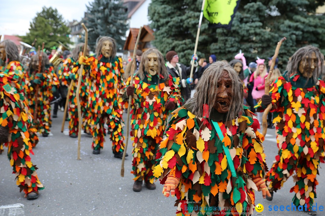 Fasnetsumzug - Fasching: Fischbach am Bodensee, 02.02.2018