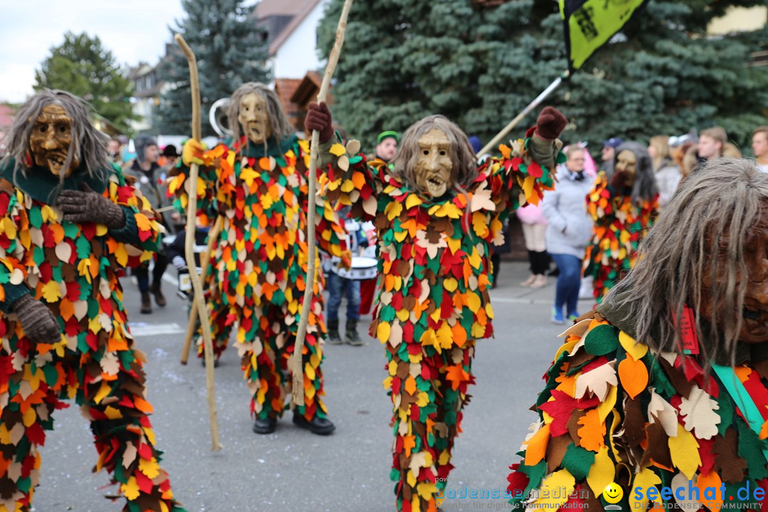 Fasnetsumzug - Fasching: Fischbach am Bodensee, 02.02.2018