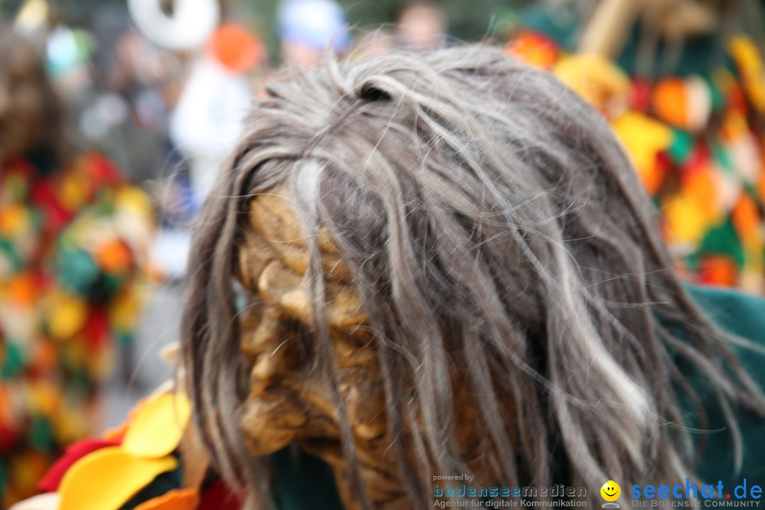 Fasnetsumzug - Fasching: Fischbach am Bodensee, 02.02.2018