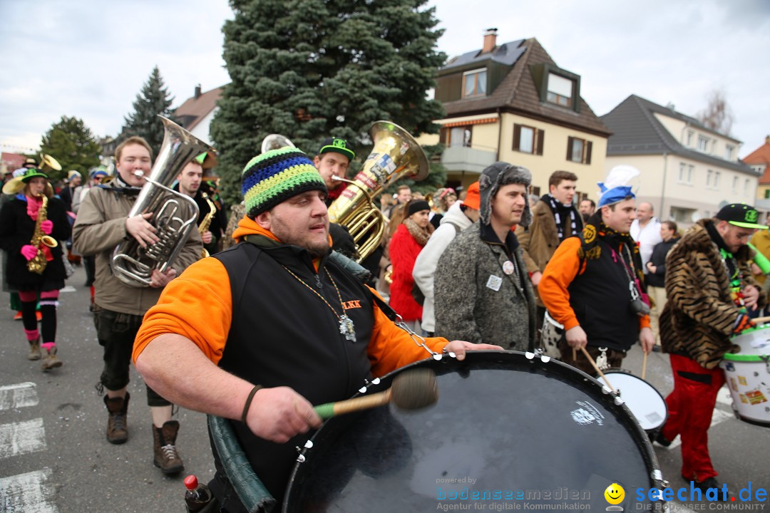 Fasnetsumzug - Fasching: Fischbach am Bodensee, 02.02.2018