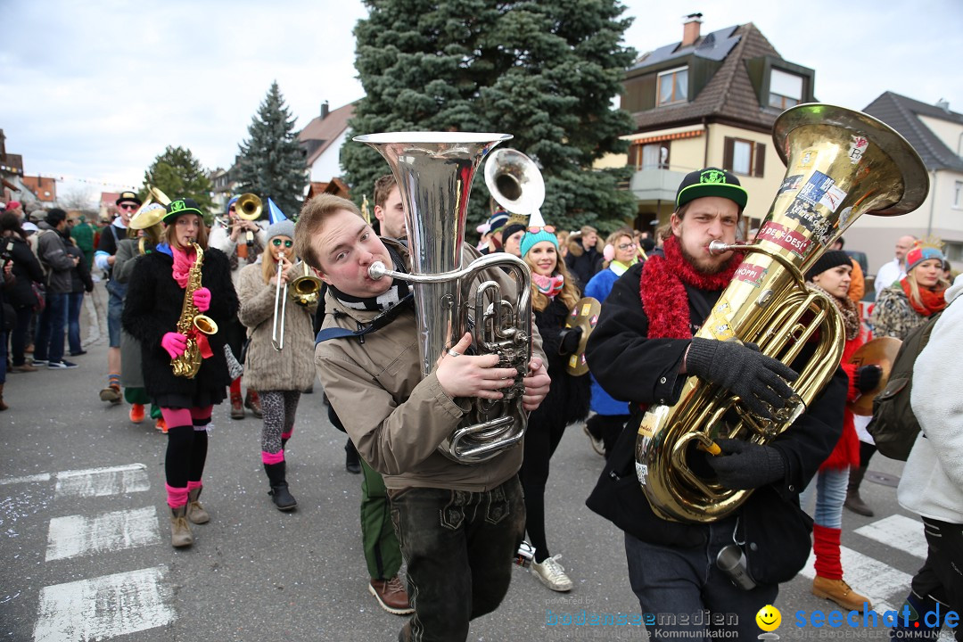 Fasnetsumzug - Fasching: Fischbach am Bodensee, 02.02.2018