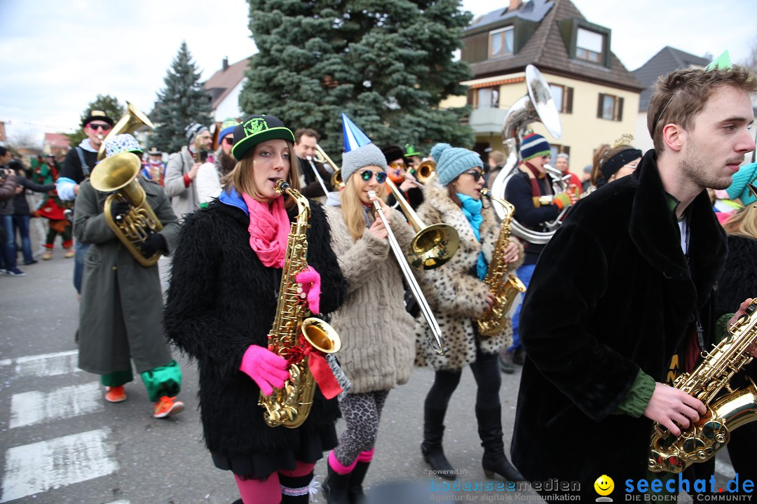 Fasnetsumzug - Fasching: Fischbach am Bodensee, 02.02.2018