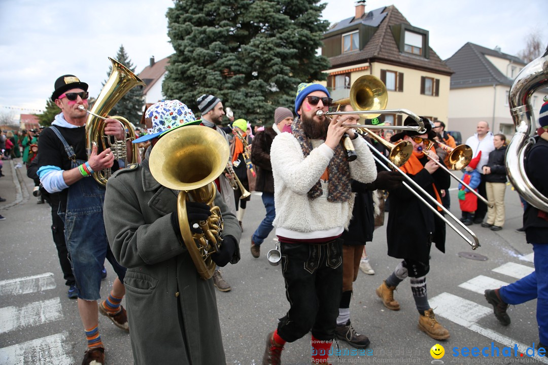 Fasnetsumzug - Fasching: Fischbach am Bodensee, 02.02.2018