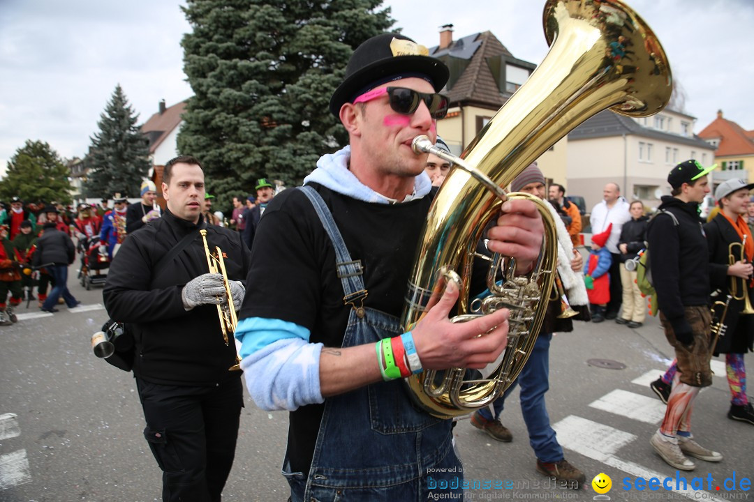 Fasnetsumzug - Fasching: Fischbach am Bodensee, 02.02.2018