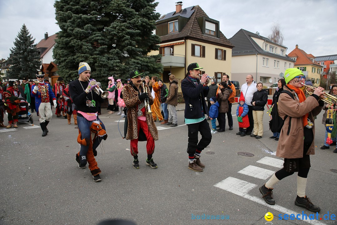 Fasnetsumzug - Fasching: Fischbach am Bodensee, 02.02.2018