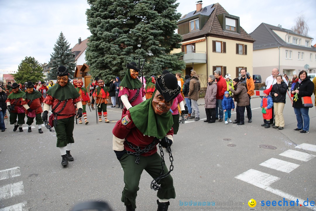 Fasnetsumzug - Fasching: Fischbach am Bodensee, 02.02.2018