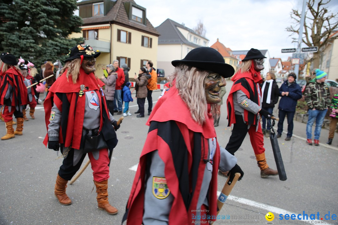 Fasnetsumzug - Fasching: Fischbach am Bodensee, 02.02.2018