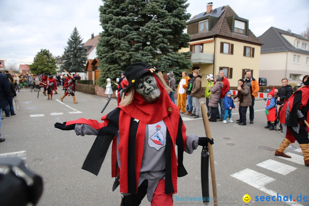 Fasnetsumzug - Fasching: Fischbach am Bodensee, 02.02.2018