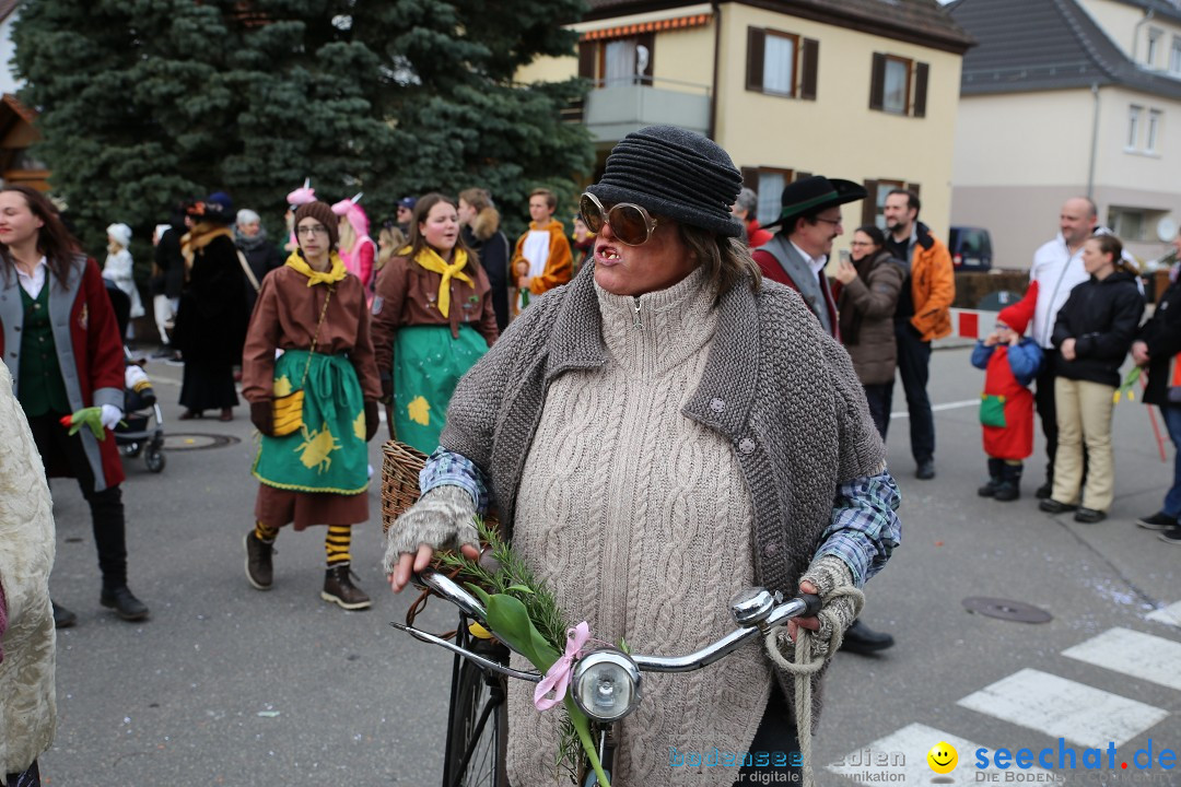 Fasnetsumzug - Fasching: Fischbach am Bodensee, 02.02.2018