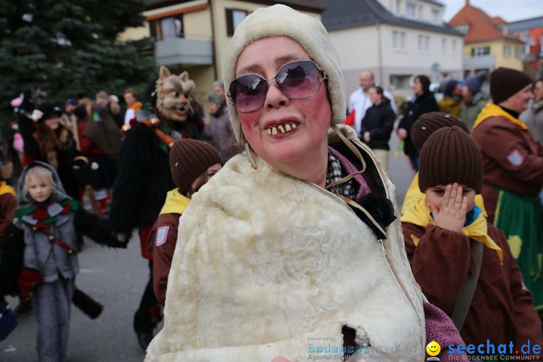 Fasnetsumzug - Fasching: Fischbach am Bodensee, 02.02.2018