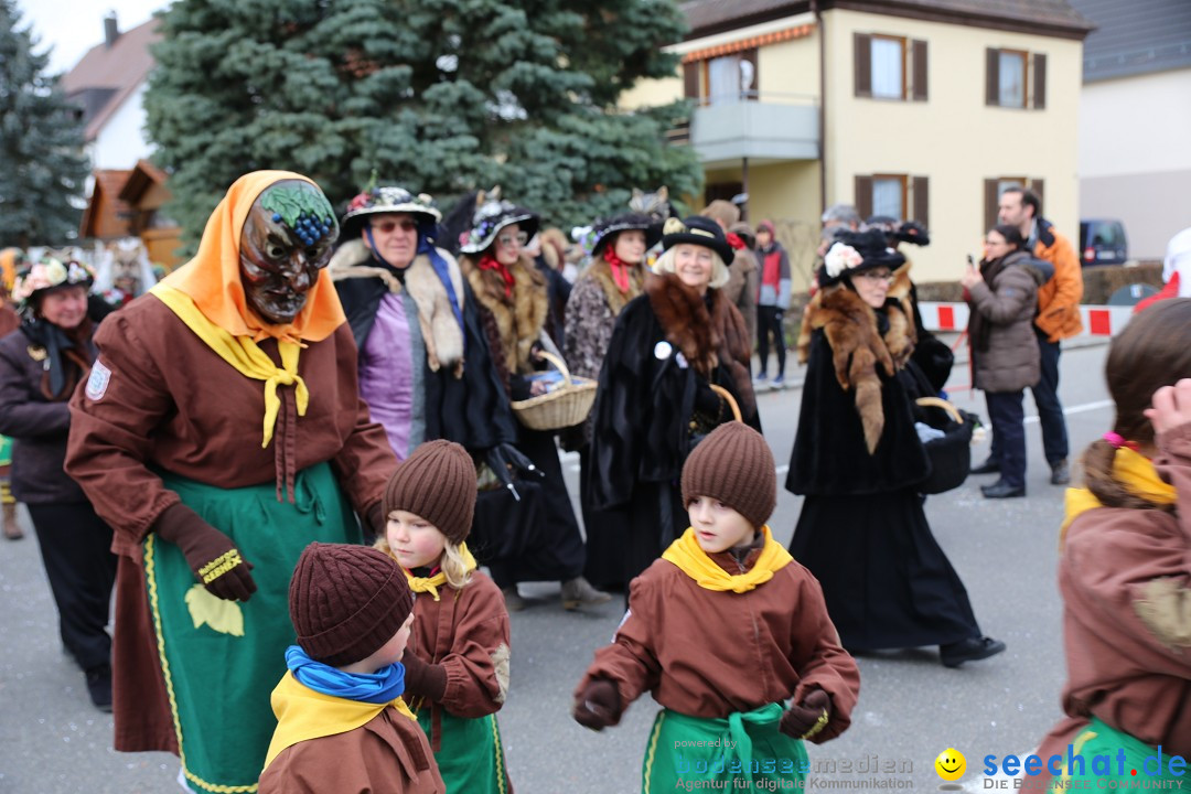 Fasnetsumzug - Fasching: Fischbach am Bodensee, 02.02.2018