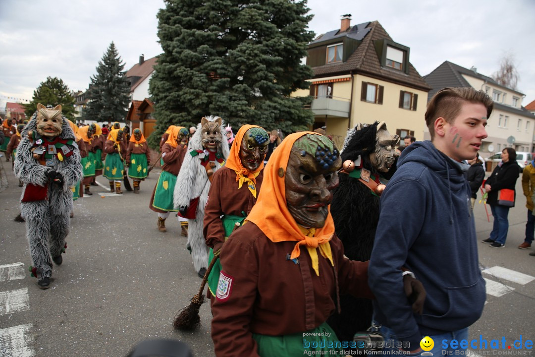 Fasnetsumzug - Fasching: Fischbach am Bodensee, 02.02.2018