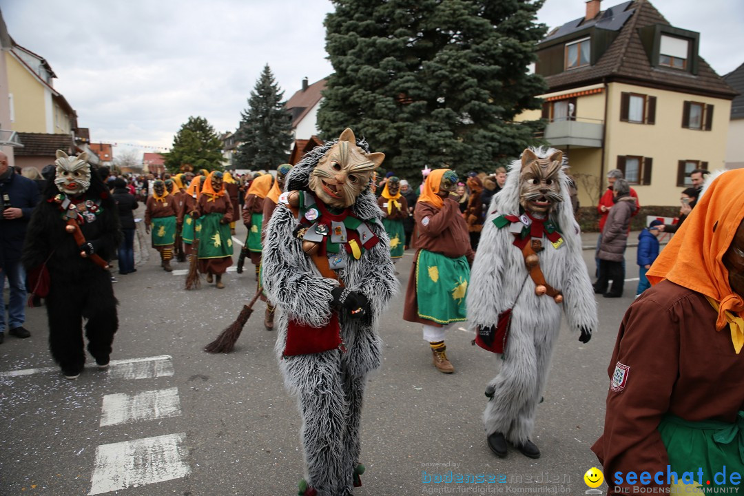 Fasnetsumzug - Fasching: Fischbach am Bodensee, 02.02.2018