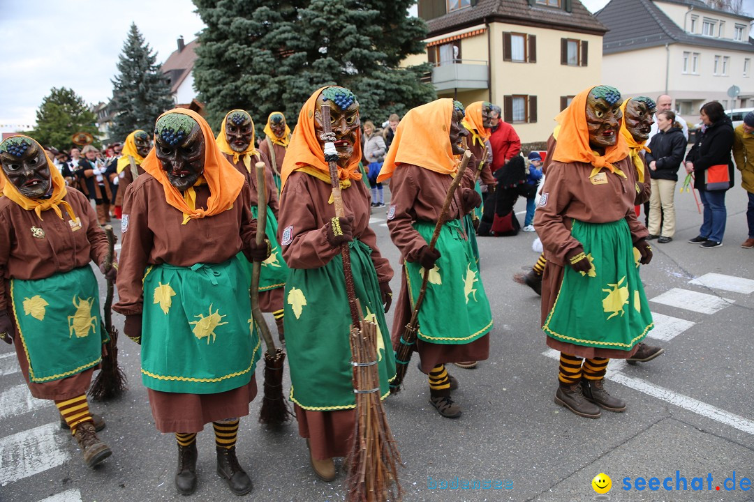 Fasnetsumzug - Fasching: Fischbach am Bodensee, 02.02.2018