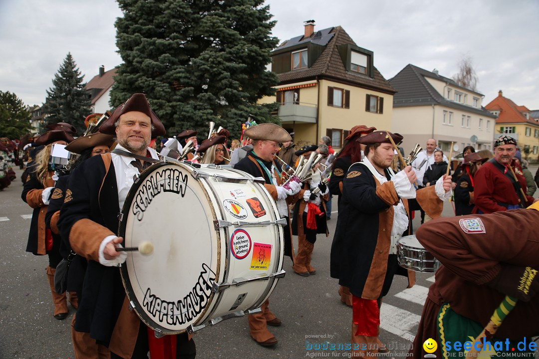 Fasnetsumzug - Fasching: Fischbach am Bodensee, 02.02.2018