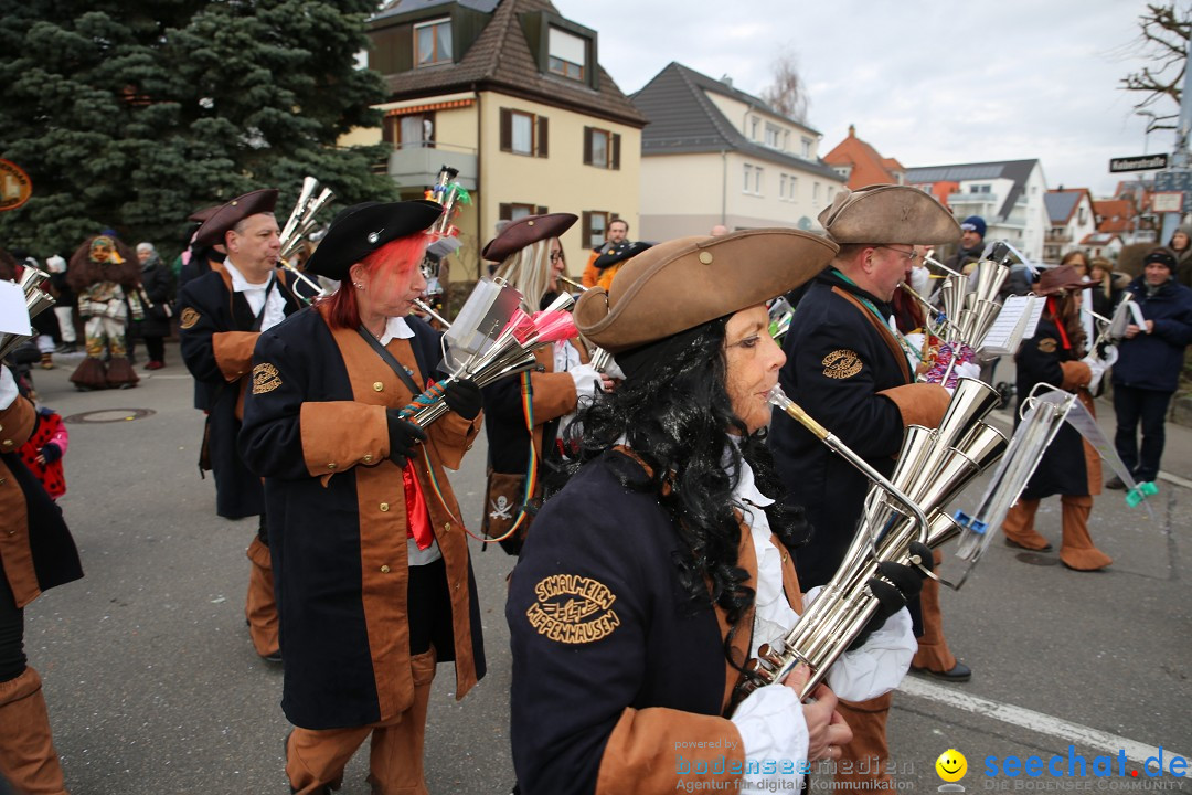 Fasnetsumzug - Fasching: Fischbach am Bodensee, 02.02.2018