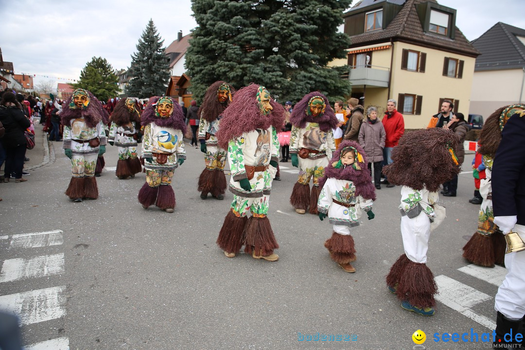 Fasnetsumzug - Fasching: Fischbach am Bodensee, 02.02.2018