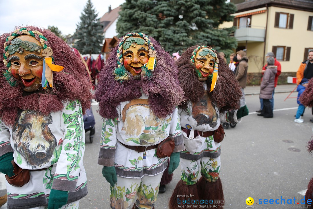 Fasnetsumzug - Fasching: Fischbach am Bodensee, 02.02.2018