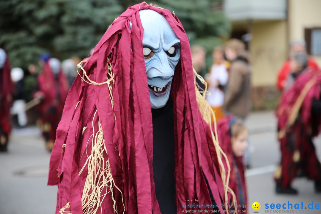 Fasnetsumzug - Fasching: Fischbach am Bodensee, 02.02.2018