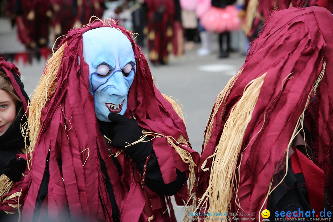 Fasnetsumzug - Fasching: Fischbach am Bodensee, 02.02.2018