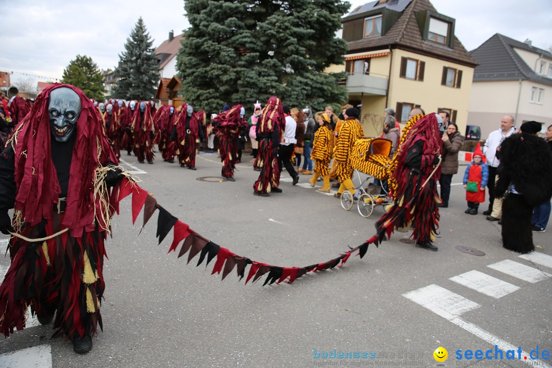 Fasnetsumzug - Fasching: Fischbach am Bodensee, 02.02.2018