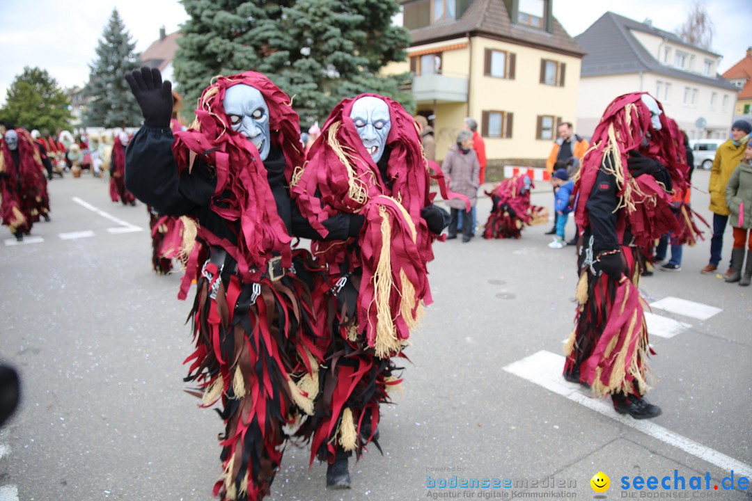 Fasnetsumzug - Fasching: Fischbach am Bodensee, 02.02.2018