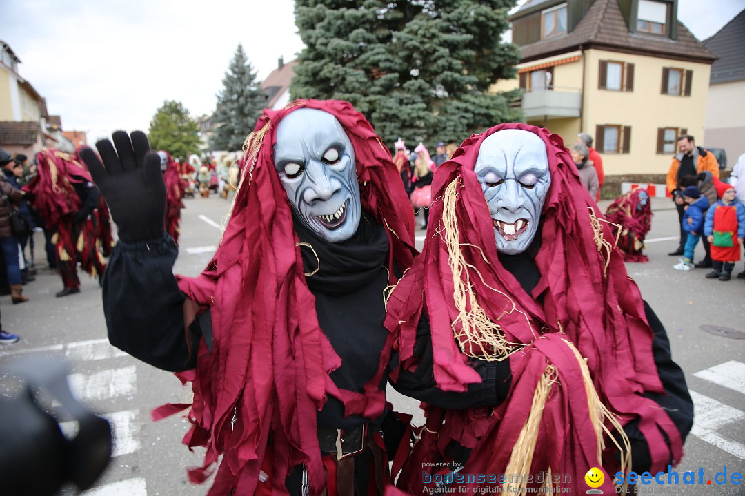 Fasnetsumzug - Fasching: Fischbach am Bodensee, 02.02.2018