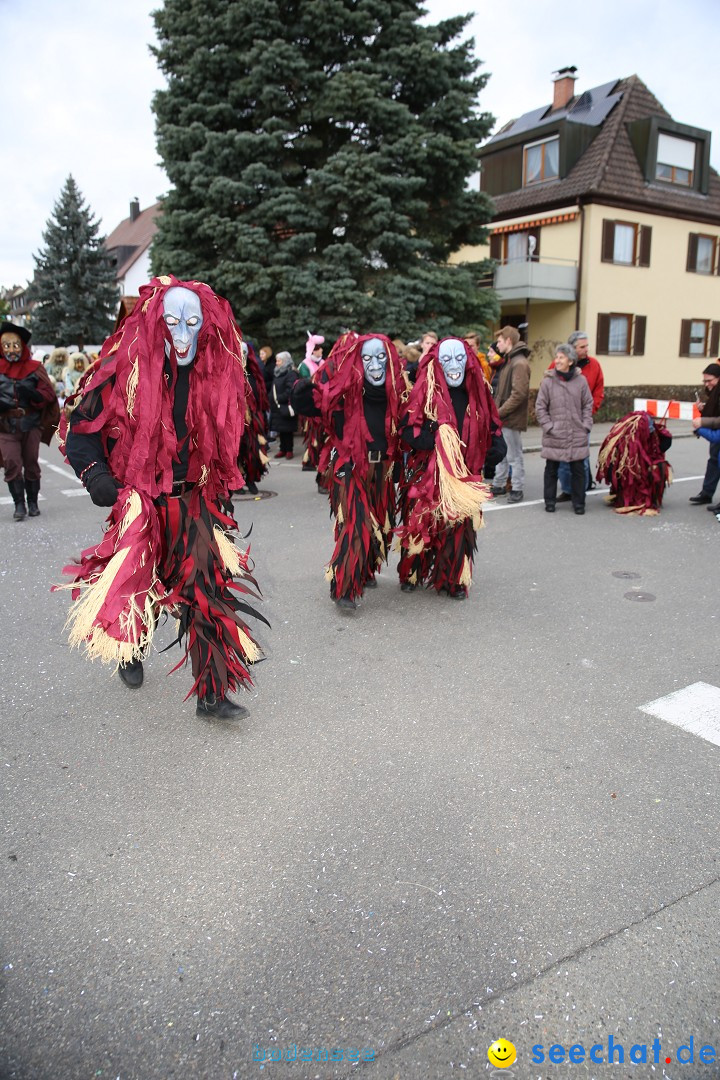 Fasnetsumzug - Fasching: Fischbach am Bodensee, 02.02.2018